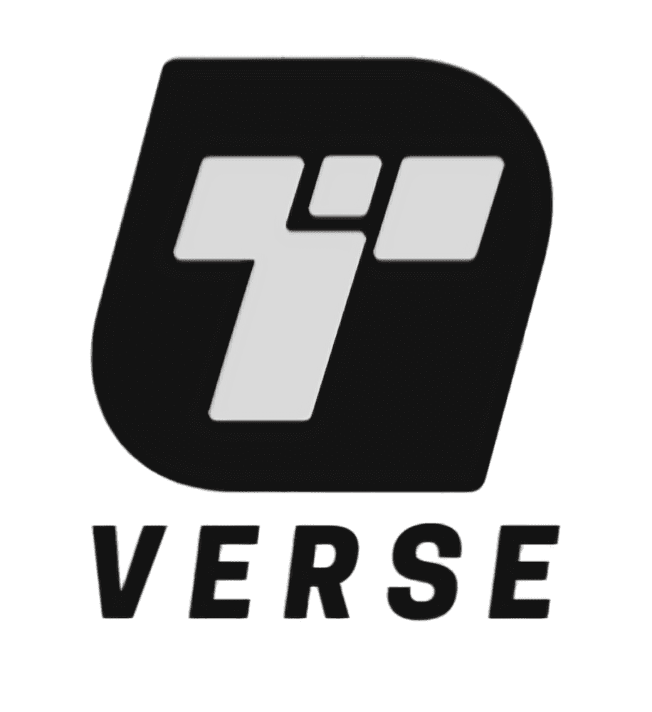 Techy Verse Logo